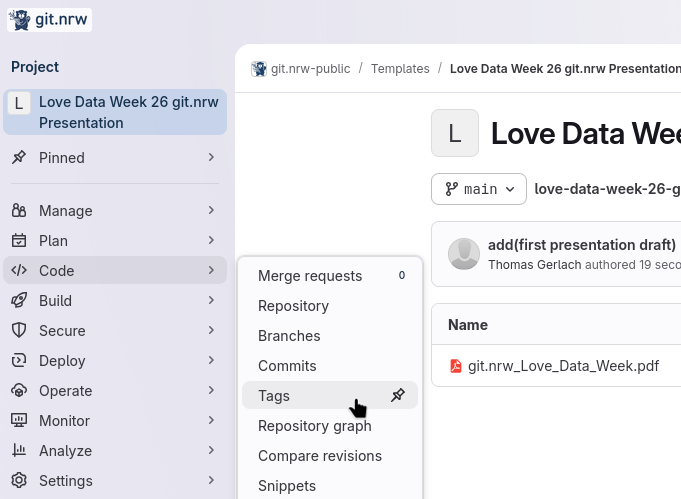 You can find the Tags section within the &ldquo;Code&rdquo; Entry on the Gitlab Starting Page.